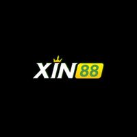 xin88vnet
