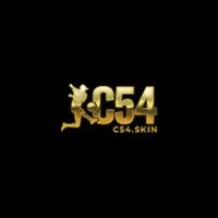 c54skin