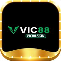 vic88skin