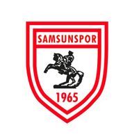 samsunsporum