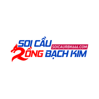 Soicaurbk666com