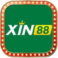 xin88cominfo