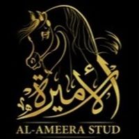 alameerastud1