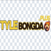 Tylebongdaplus1