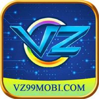 vz99-com