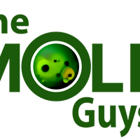 themoldguyss11