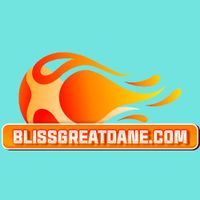 blissgreatdane